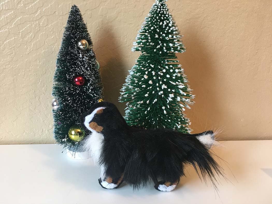 Bernese Mountain Dog