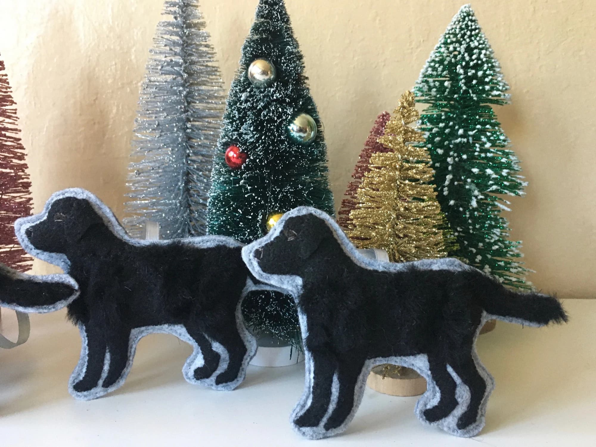 Black Labrador