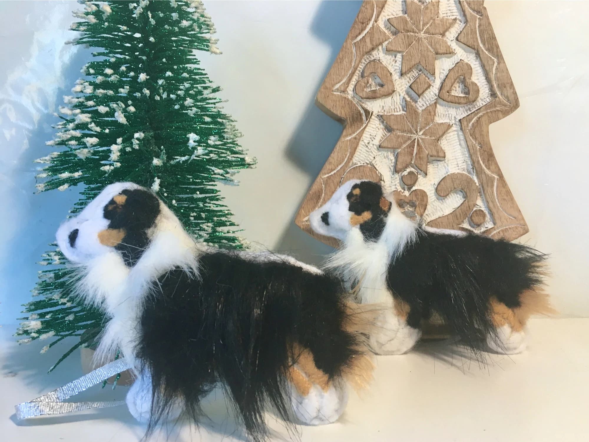 Black Tricolor Aussie