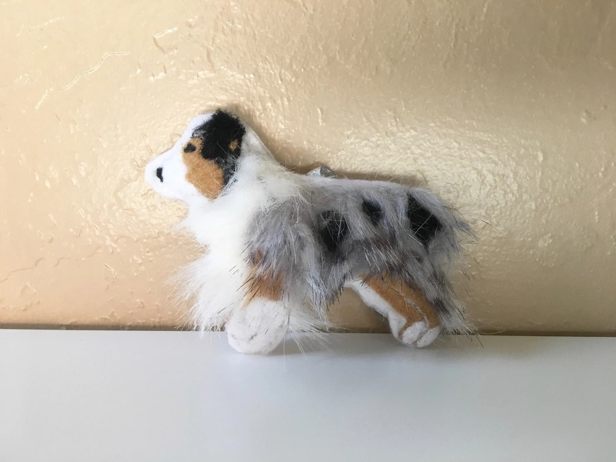 Blue Merle Aussie