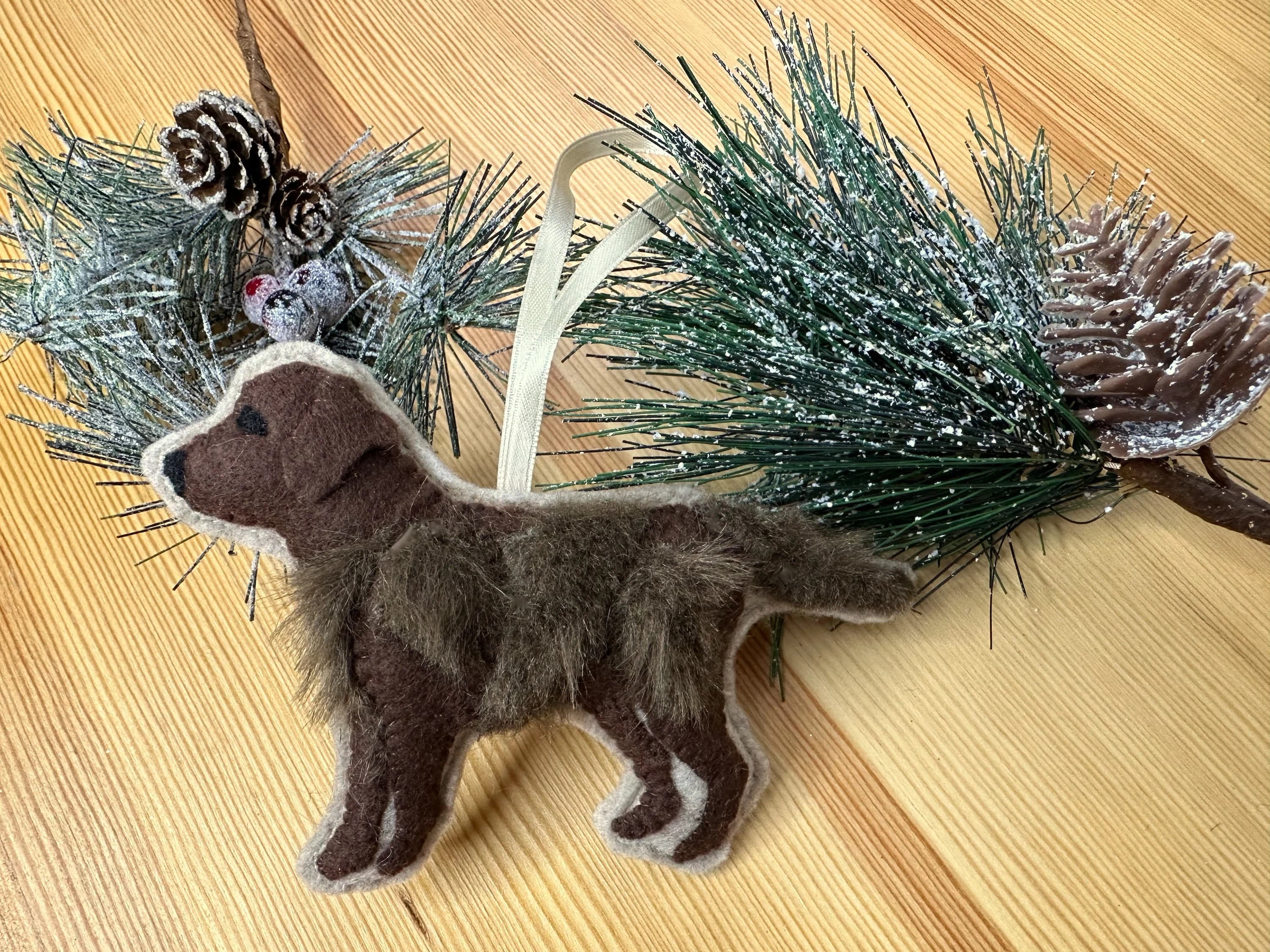 Chocolate Labrador
