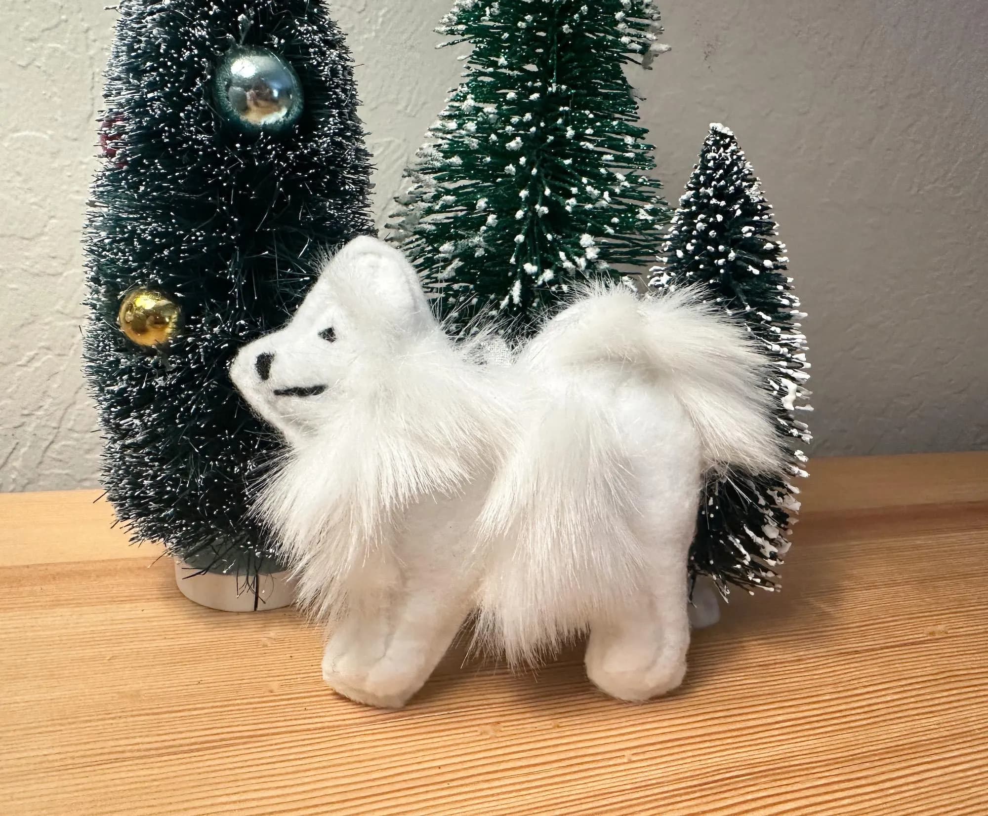 Samoyed