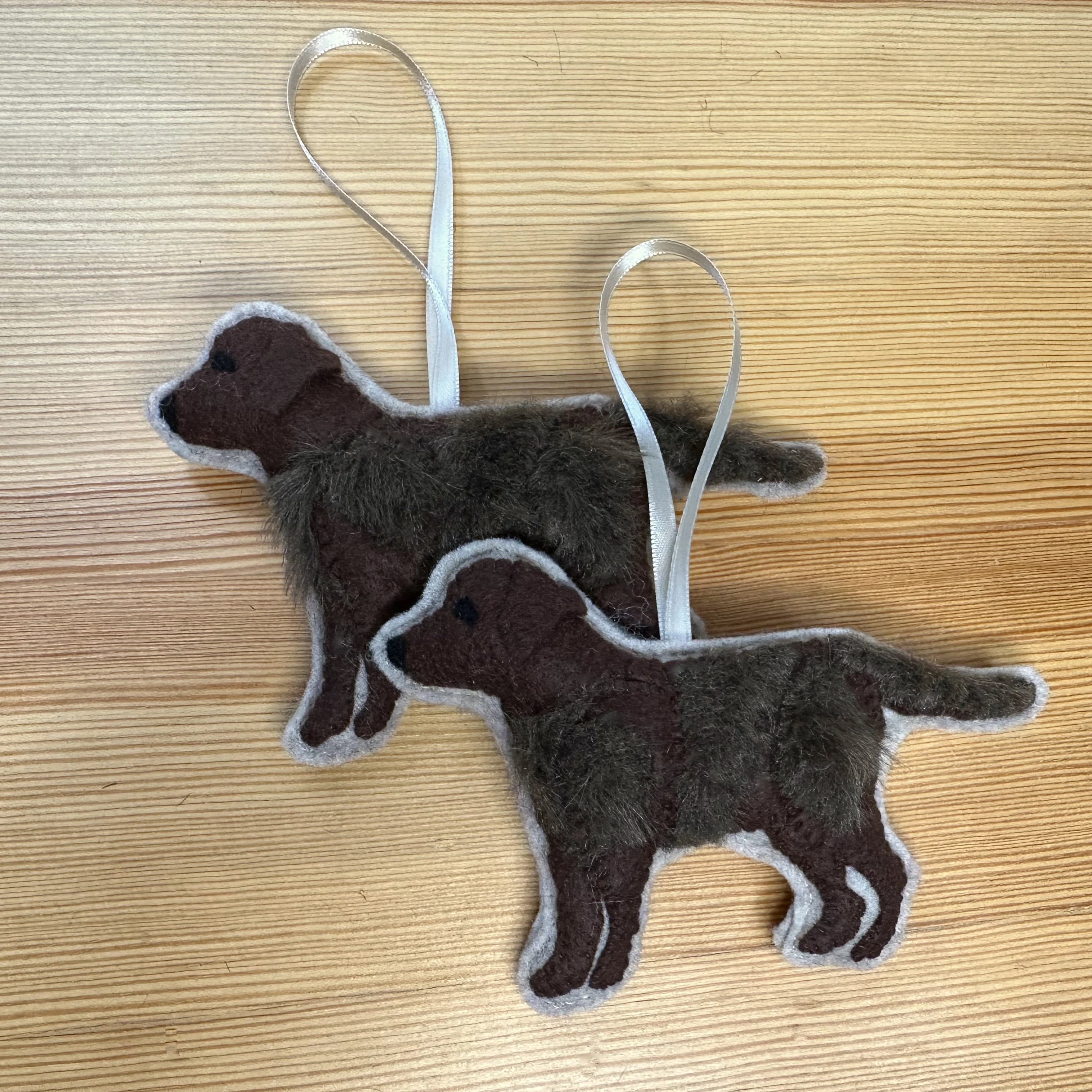 Chocolate Labrador